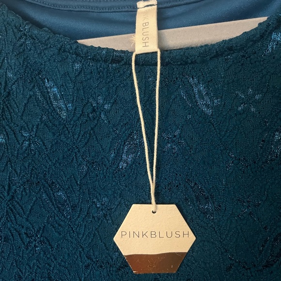 PINKBLUSH Maternity Blue Lace Maxi Dress Lined 3/4 Sleeve Round Neck Size L - Picture 3 of 4